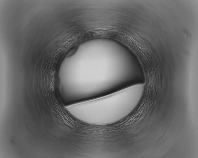 X0000113560868200909181019