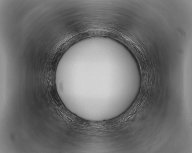 X0000113560870200909181018