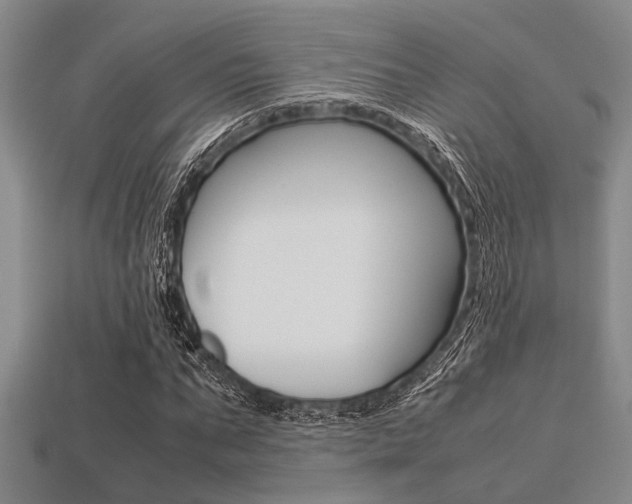 X0000113560871200909181018