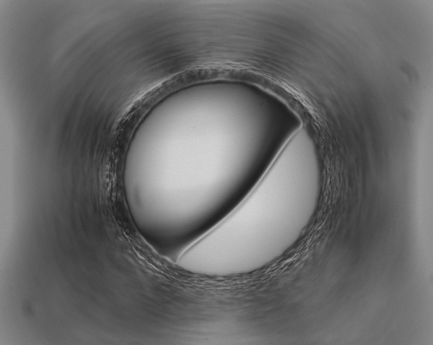 X0000113560872200909181018