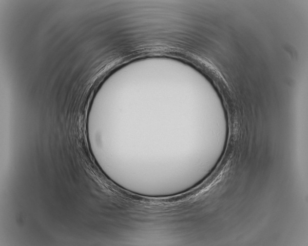 X0000113560873200909181018