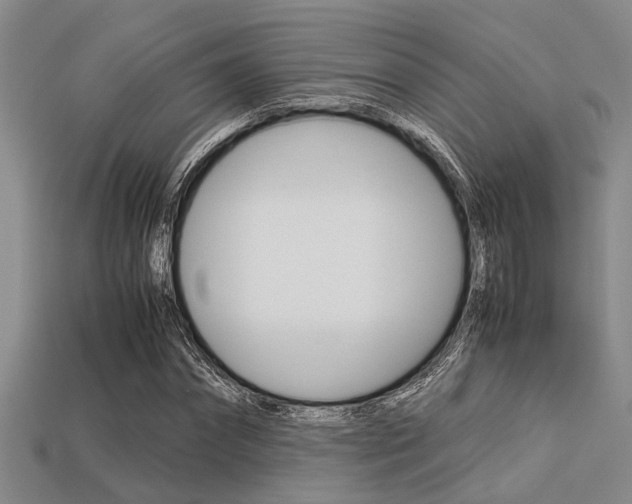 X0000113560874200909181018