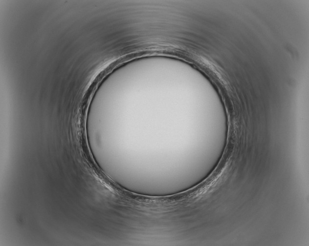 X0000113560875200909181018