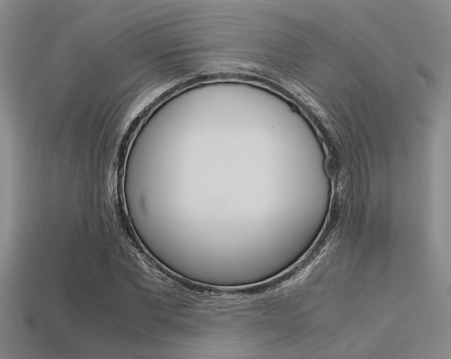 X0000113560877200909181018