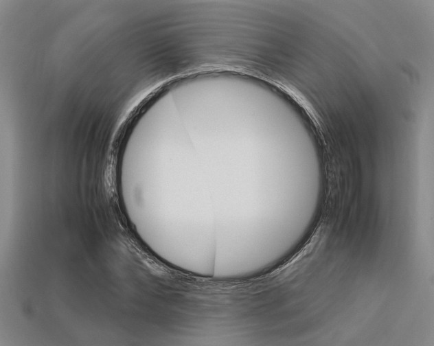 X0000113560878200909181018