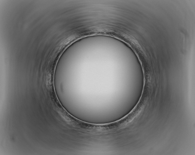 X0000113560881200909181018