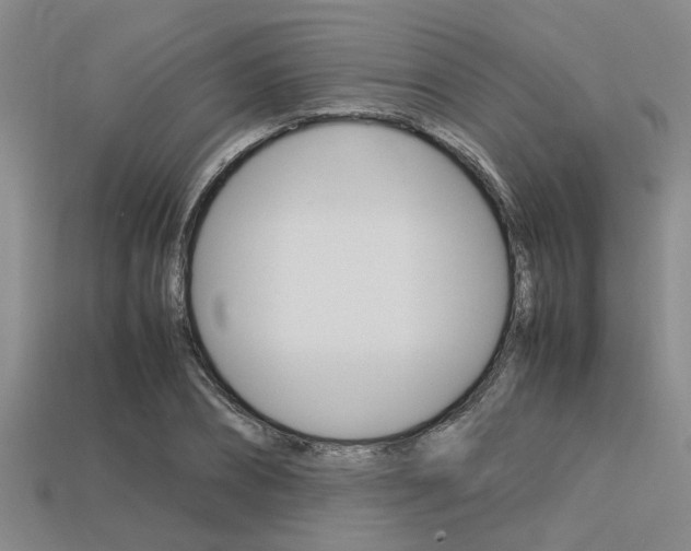 X0000113560882200909181018