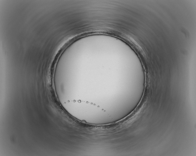 X0000113560883200909181018