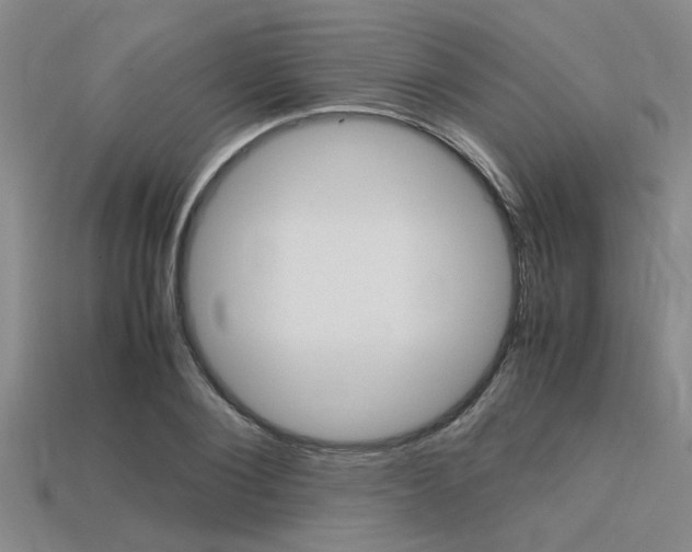 X0000113560884200909181018