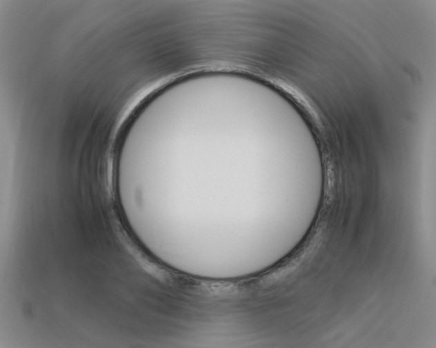 X0000113560886200909181018