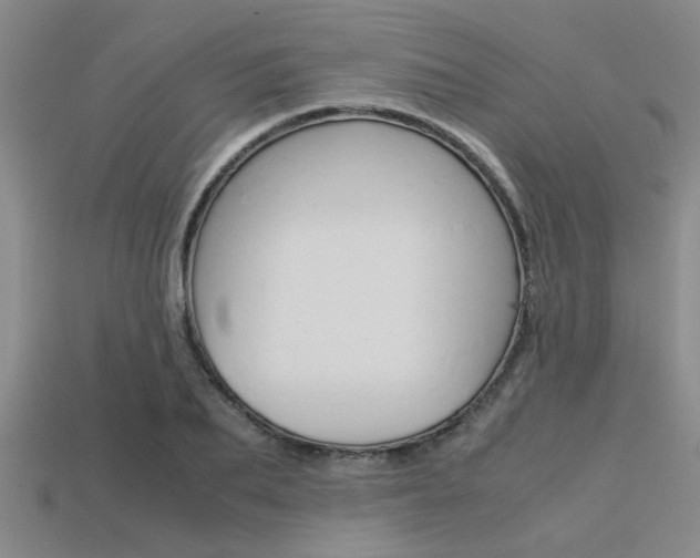 X0000113560887200909181018