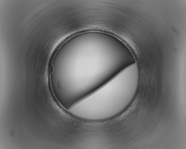 X0000113560888200909181018