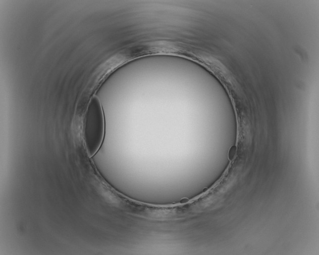 X0000113560889200909181018