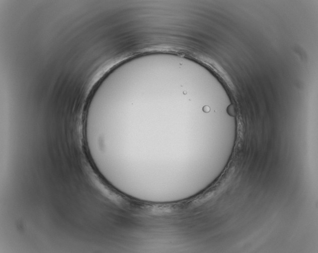 X0000113560890200909181018