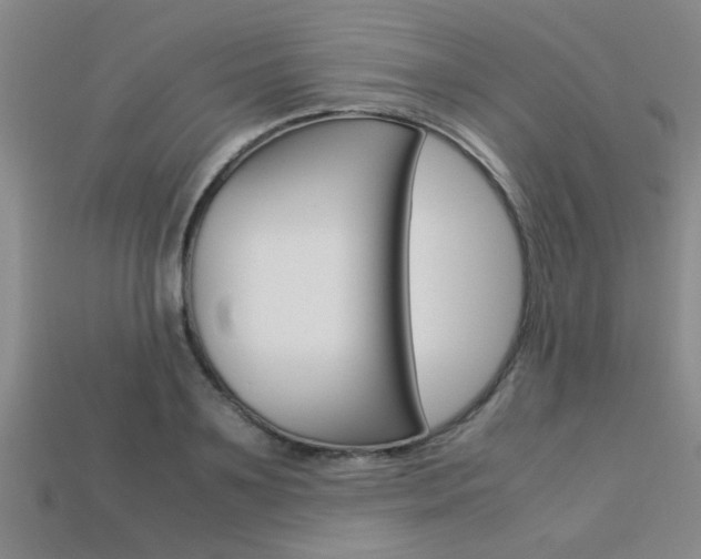 X0000113560891200909181018