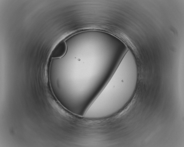 X0000113560892200909181018