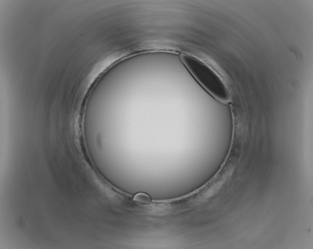 X0000113560893200909181018