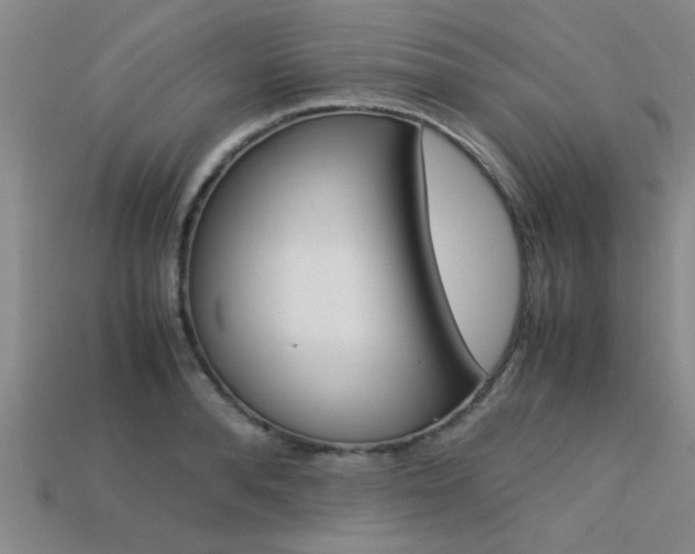 X0000113560896200909181018