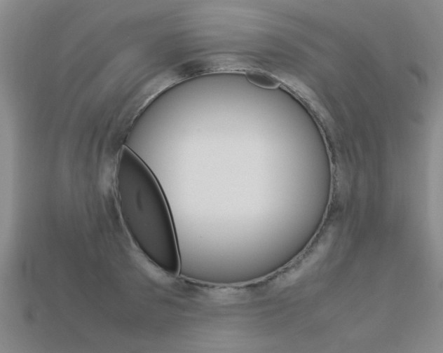 X0000113560897200909181018