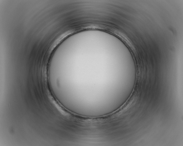 X0000113560898200909181018