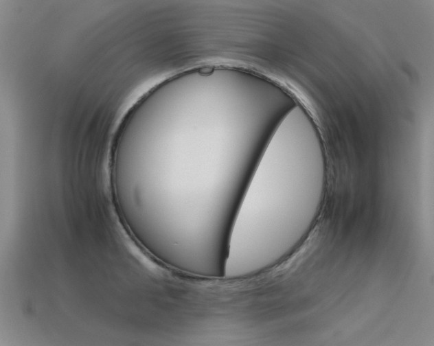 X0000113560902200909181018