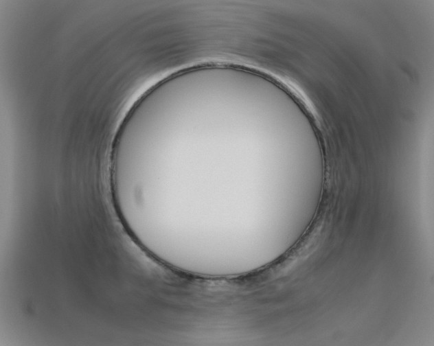 X0000113560903200909181018