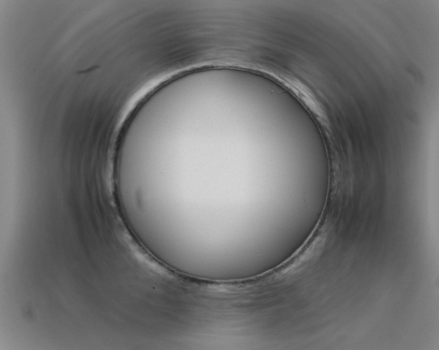 X0000113560904200909181018