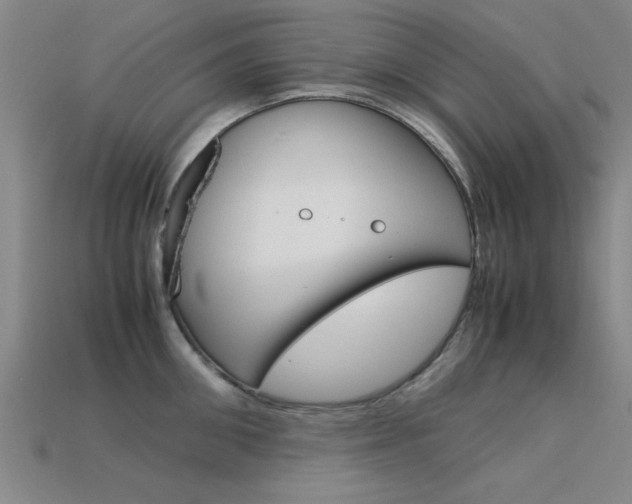 X0000113560906200909181018