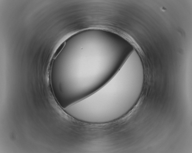 X0000113560908200909181018