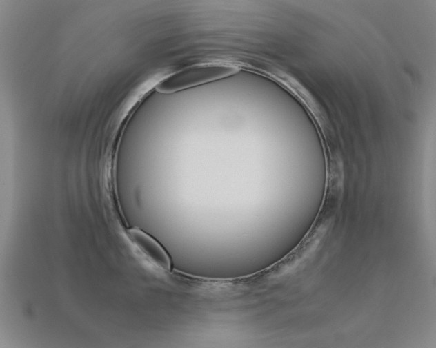 X0000113560909200909181018