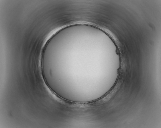 X0000113560910200909181018