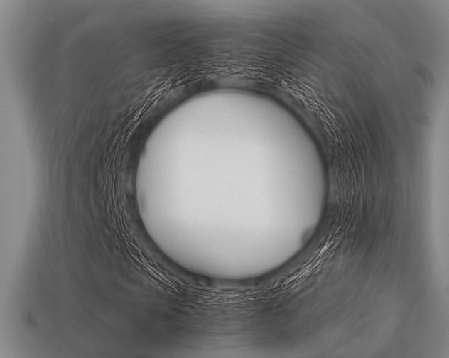 X0000113560913200909181017
