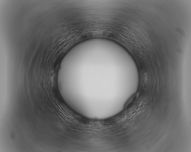 X0000113560914200909181017
