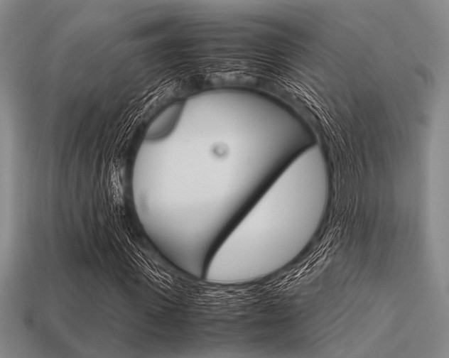 X0000113560915200909181017