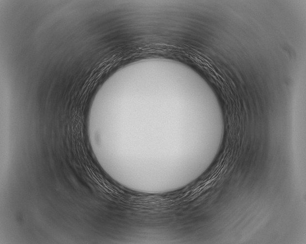 X0000113560916200909181017