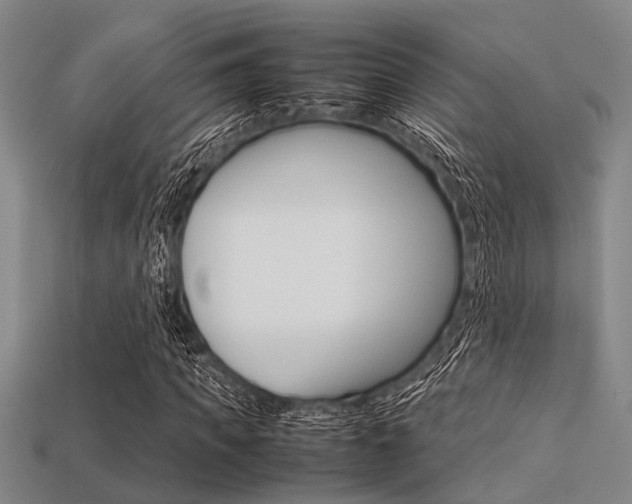 X0000113560917200909181017
