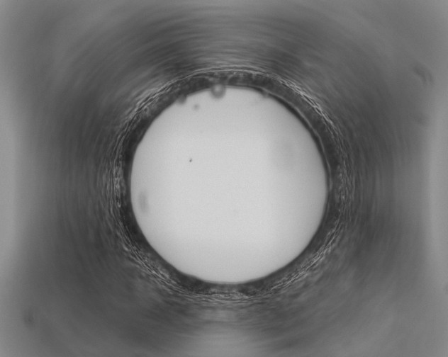 X0000113560918200909181017