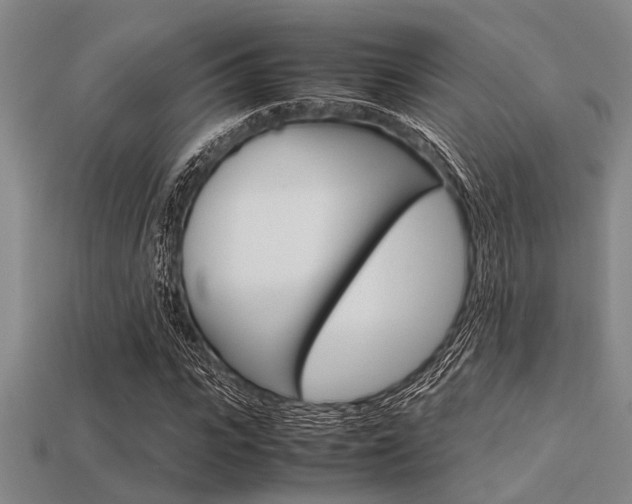X0000113560919200909181017