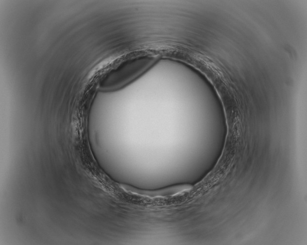 X0000113560920200909181017