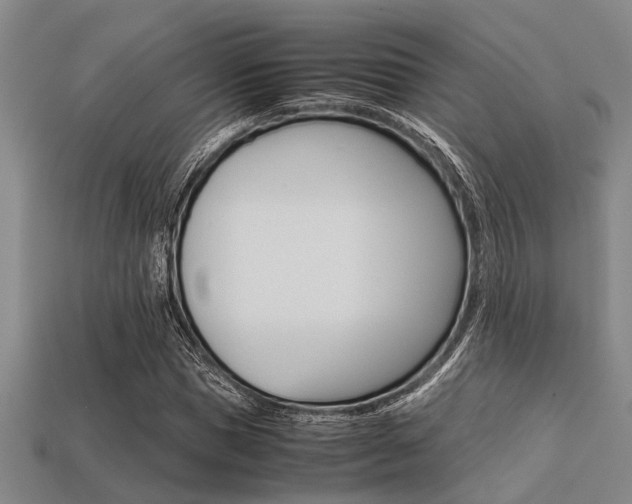 X0000113560921200909181017