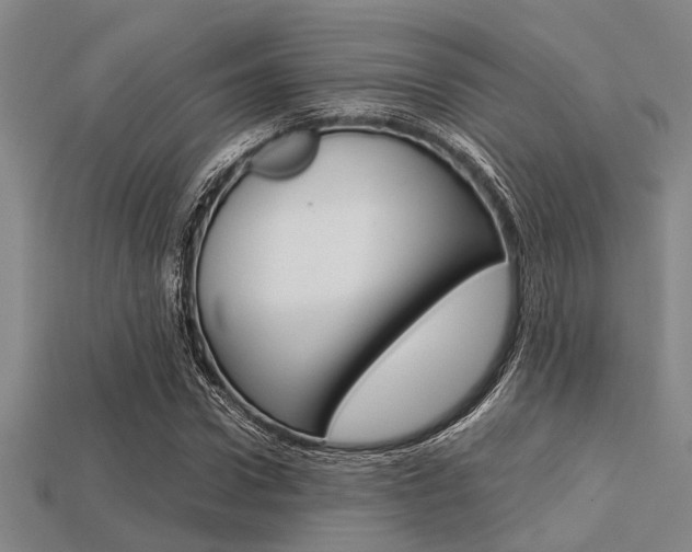 X0000113560922200909181017