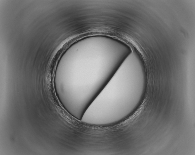X0000113560923200909181017