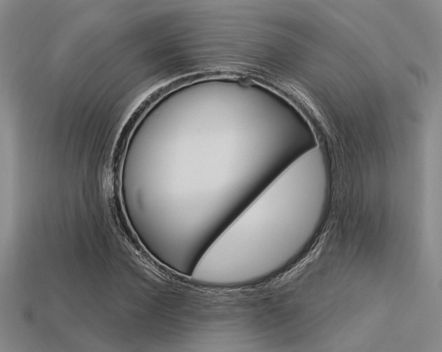 X0000113560924200909181017