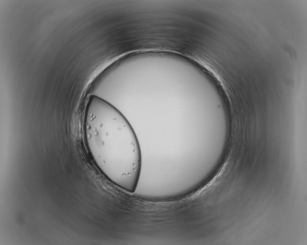 X0000113560925200909181017