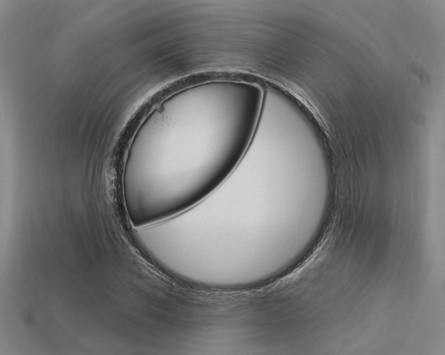X0000113560926200909181017