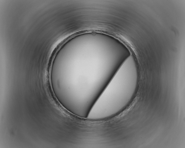 X0000113560928200909181017