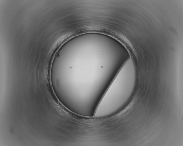 X0000113560930200909181017