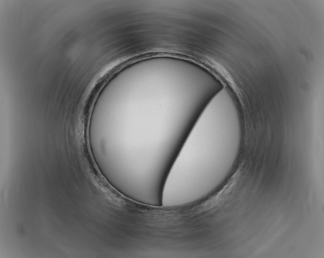 X0000113560931200909181017