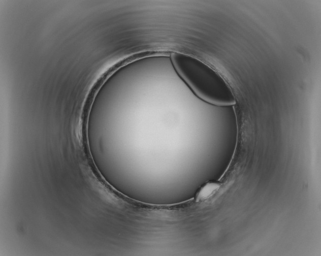 X0000113560932200909181017