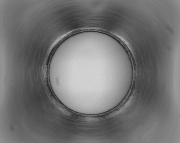 X0000113560933200909181017